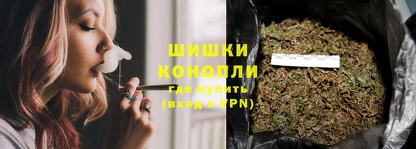 PSILOCYBIN Вязьма