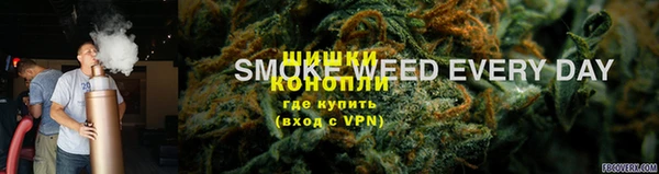 PSILOCYBIN Вязьма