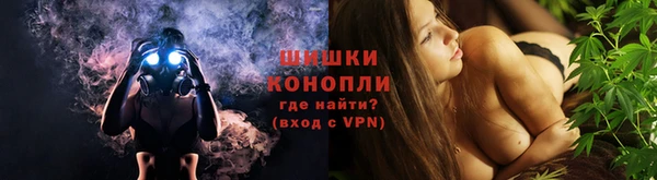 PSILOCYBIN Вязьма