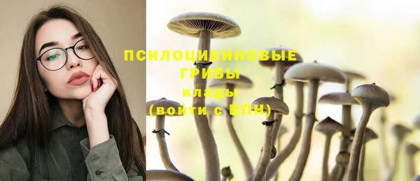 меф Вяземский