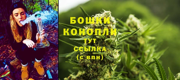 PSILOCYBIN Вязьма