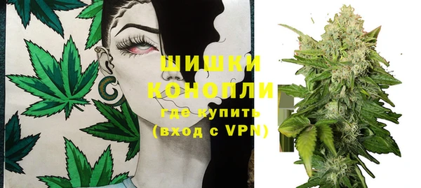 PSILOCYBIN Вязьма